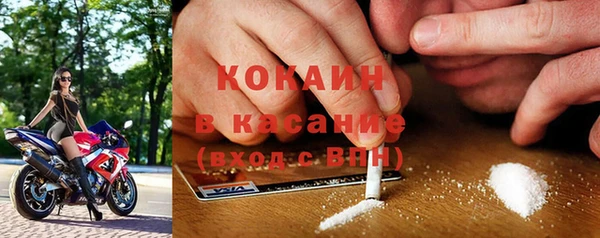 сатива Абинск