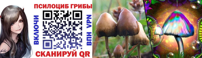 Псилоцибиновые грибы GOLDEN TEACHER  купить наркоту  Пенза 