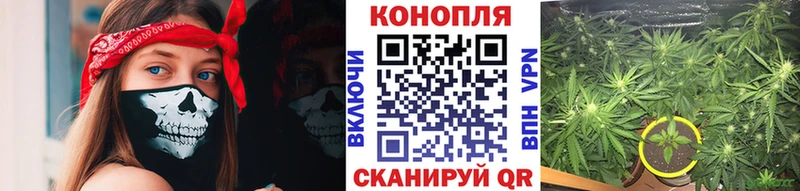 Марихуана индика  купить наркотик  МЕГА ONION  Пенза 